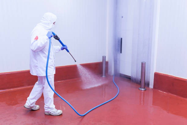 Best House Exterior Washing  in Kemp, TX