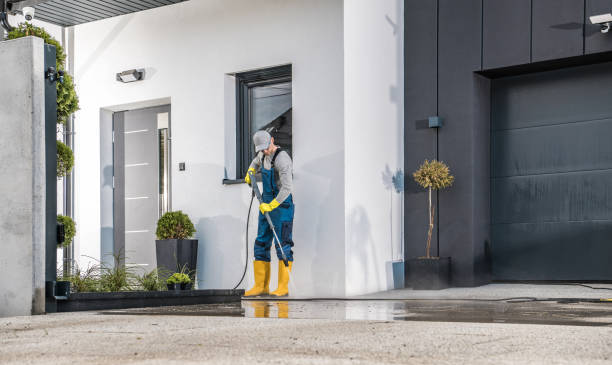 Best Gutter Cleaning  in Kemp, TX